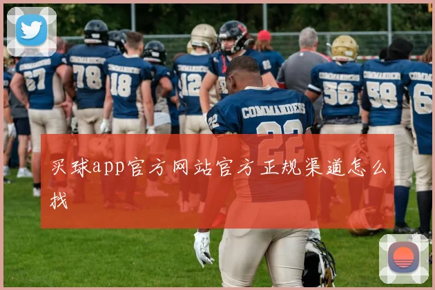 买球app官方网站官方正规渠道怎么找