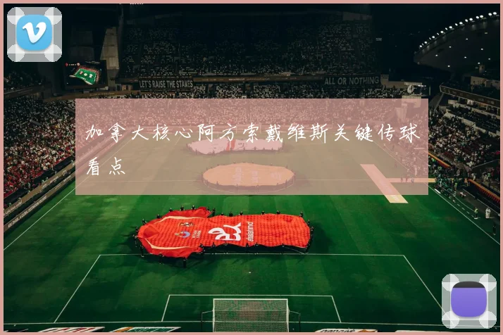 加拿大核心阿方索戴维斯关键传球看点