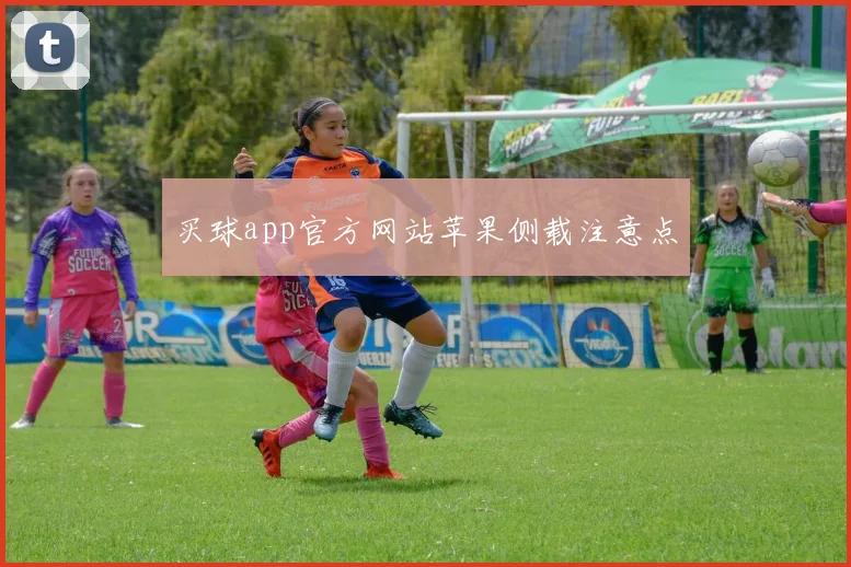 买球app官方网站苹果侧载注意点