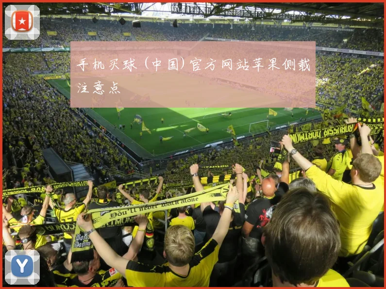 手机买球 (中国)官方网站苹果侧载注意点