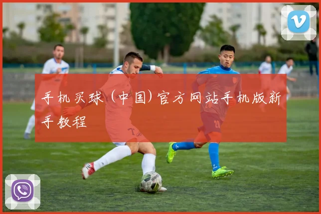 手机买球 (中国)官方网站手机版新手教程