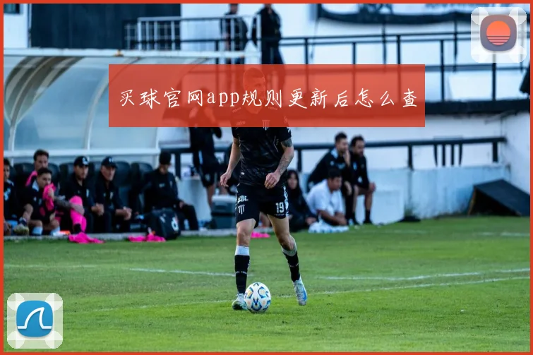 买球官网app规则更新后怎么查