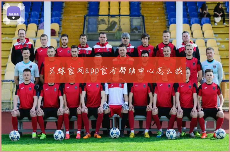 买球官网app官方帮助中心怎么找