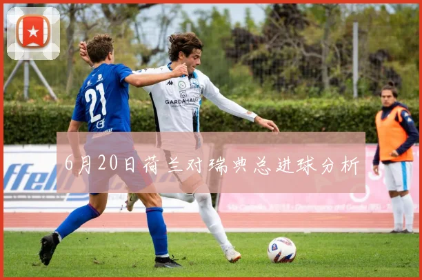 6月20日荷兰对瑞典总进球分析