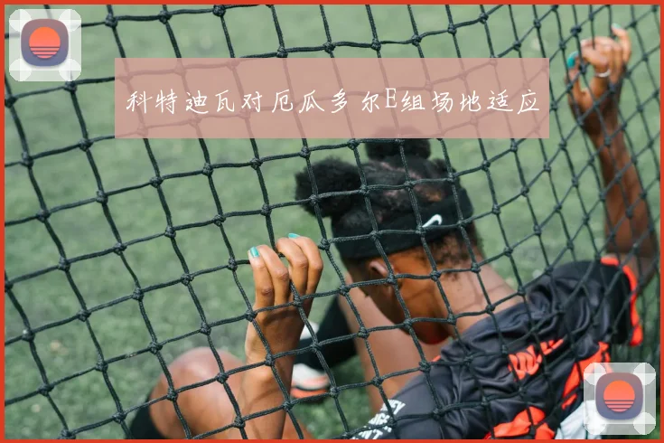 科特迪瓦对厄瓜多尔E组场地适应